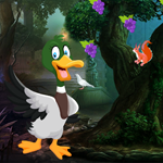 G4K Domestic Duck Escape Game 