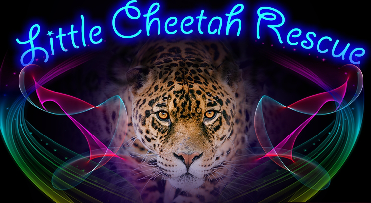 Games4King Cheetah Rescue Rescue