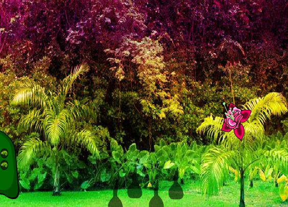 BGE - Fantasy Tropical Garden Escape
