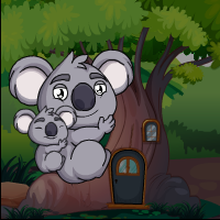 Koala Bears Escape