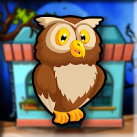 G2J Barred Owl Escape