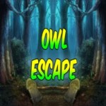 Owl Escape