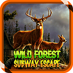 Wild Forest Subway Escape