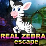 G4K Real Zebra Escape Game