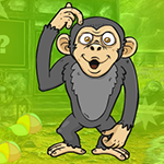 G4K Muddled Monkey Escape