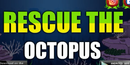 Rescue The Octopus 01