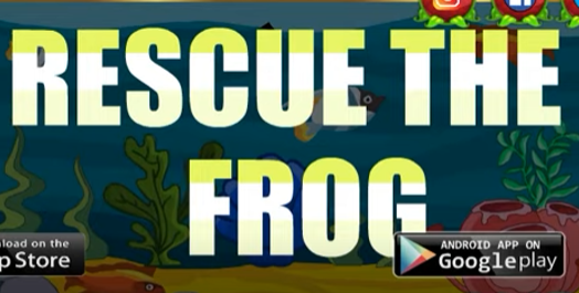 Rescue the frog Walkthrough