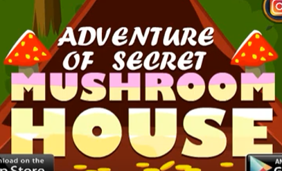 Adventure Of Secret Mushroom House 